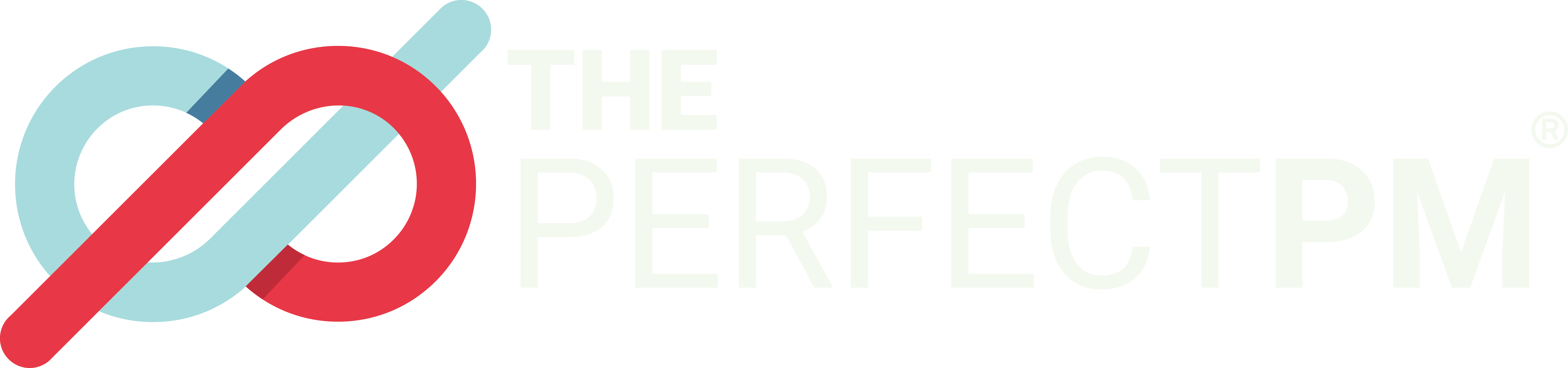 thePerfectPM community